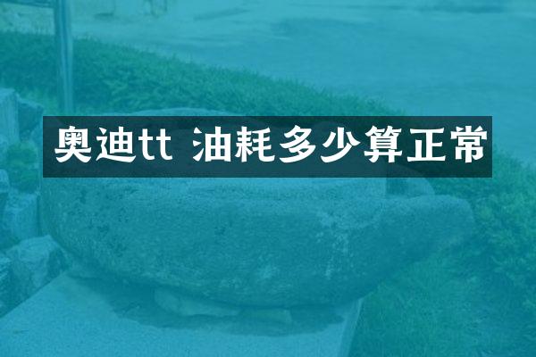 奥迪tt 油耗多少算正常