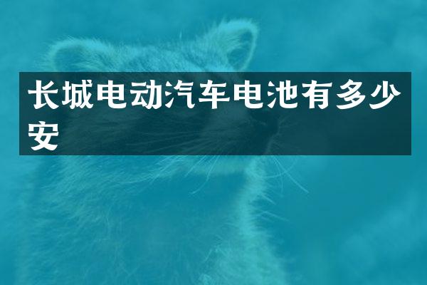 长城电动汽车电池有多少安