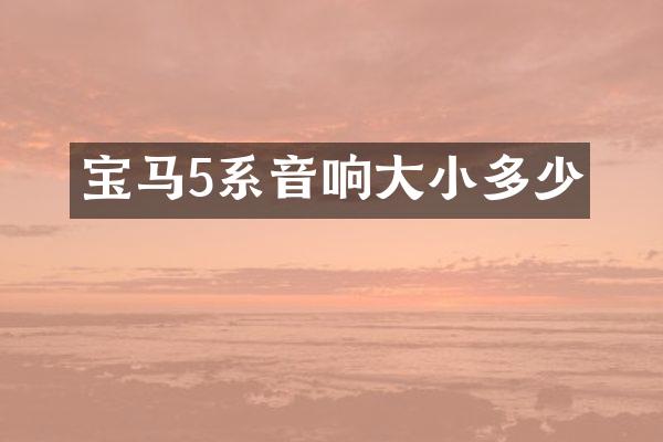 宝马5系音响大小多少