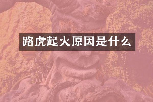 路虎起火原因是什么
