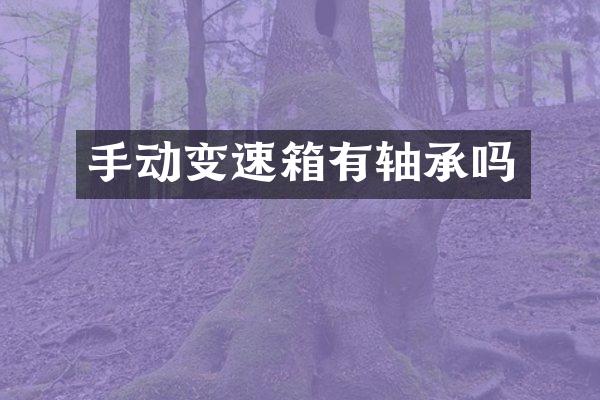 手动变速箱有轴承吗