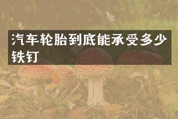 汽车轮胎到底能承受多少铁钉