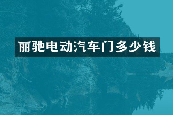 丽驰电动汽车门多少钱