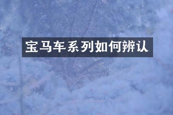 宝马车系列如何辨认
