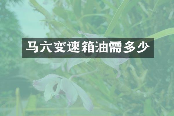 马六变速箱油需多少