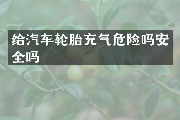 给汽车轮胎充气危险吗安全吗