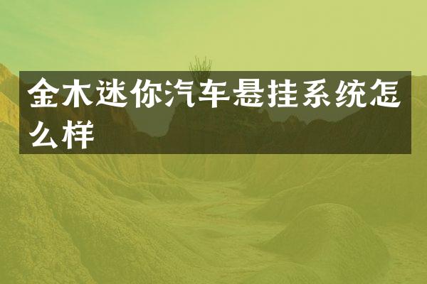 金木迷你汽车悬挂系统怎么样