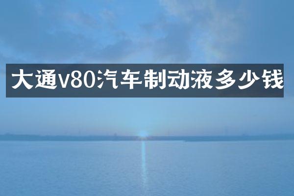 大通v80汽车制动液多少钱