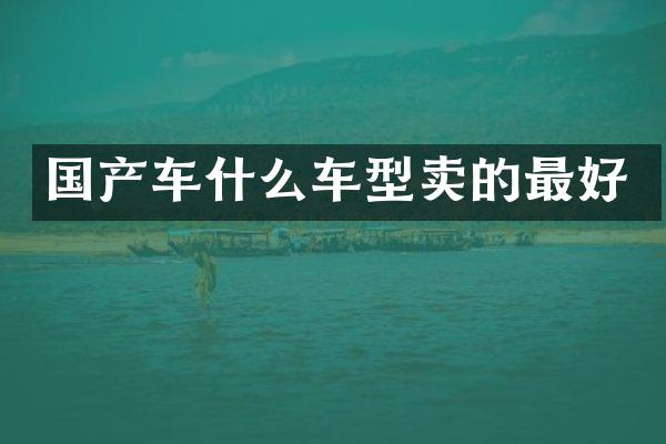 国产车什么车型卖的最好