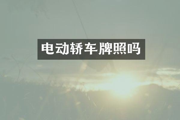 电动轿车牌照吗