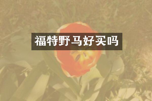 福特野马好买吗