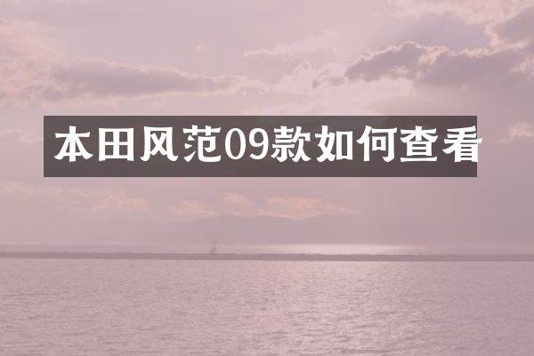 本田风范09款如何查看