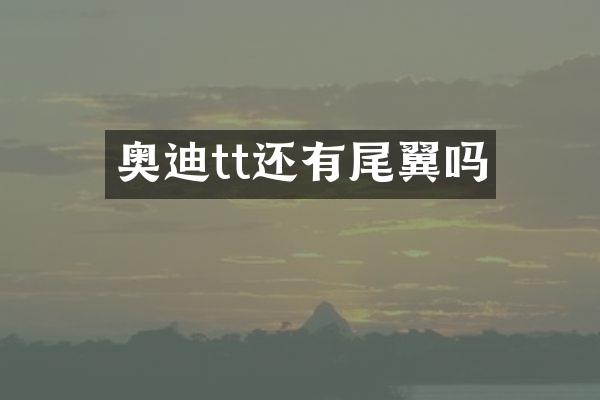 奥迪tt还有尾翼吗