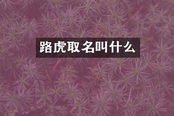 路虎取名叫什么
