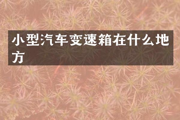小型汽车变速箱在什么地方