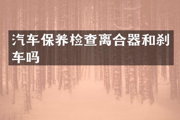 汽车保养检查离合器和刹车吗