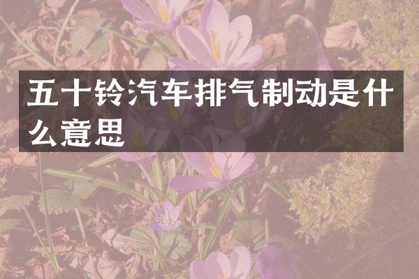 五十铃汽车排气制动是什么意思