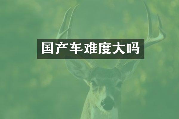国产车难度大吗