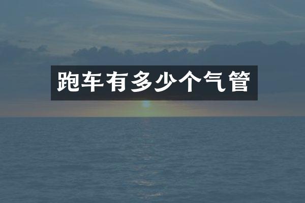 跑车有多少个气管