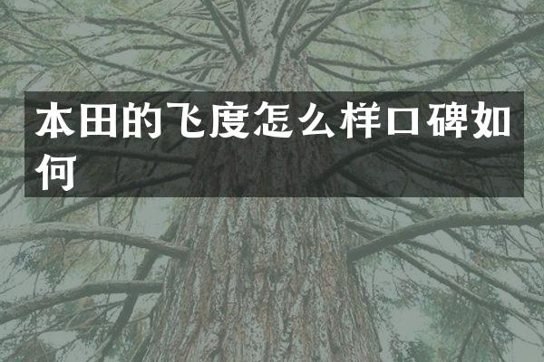 本田的飞度怎么样口碑如何