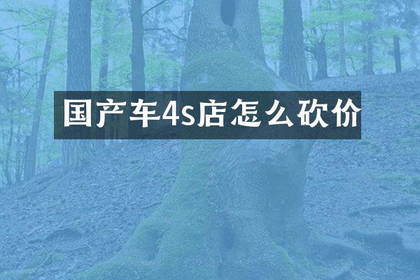 国产车4s店怎么砍价