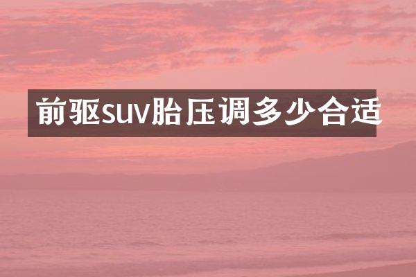 前驱suv胎压调多少合适