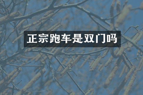 正宗跑车是双门吗