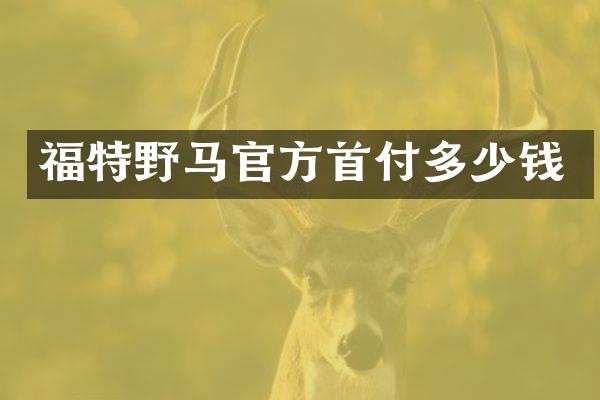 福特野马官方首付多少钱