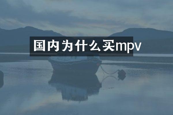 国内为什么买mpv