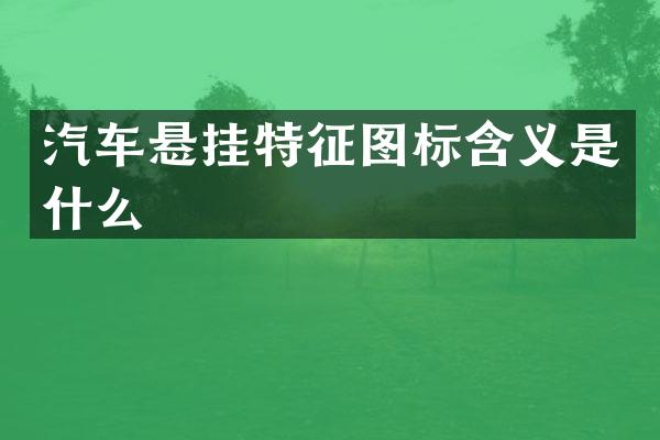 汽车悬挂特征图标含义是什么