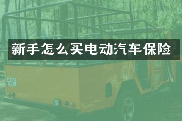 新手怎么买电动汽车保险