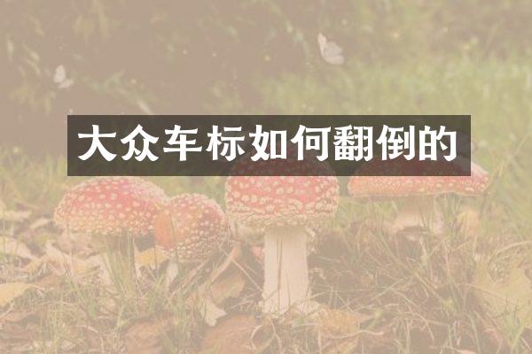 大众车标如何翻倒的