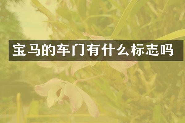 宝马的车门有什么标志吗