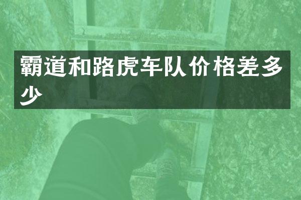 霸道和路虎车队价格差多少