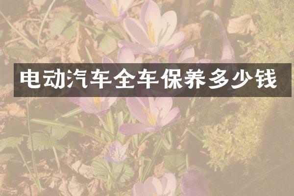 电动汽车全车保养多少钱