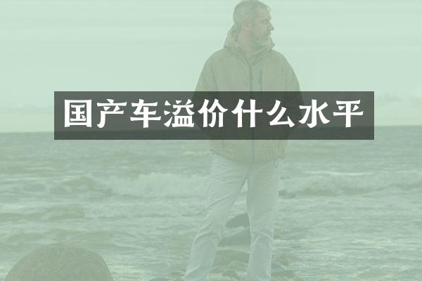 国产车溢价什么水平