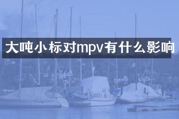 大吨小标对mpv有什么影响