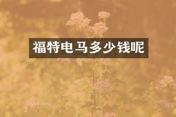 福特电马多少钱呢