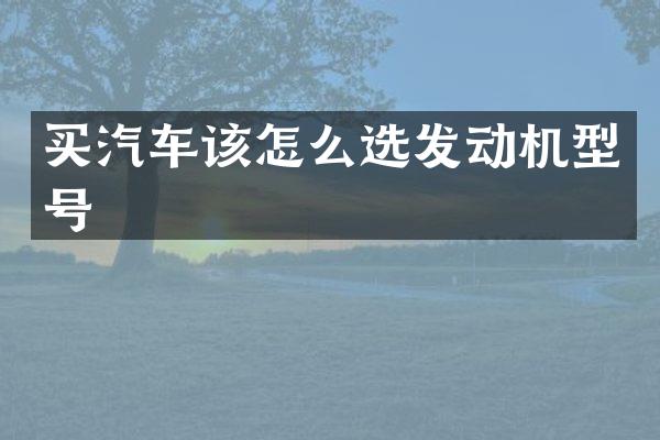 买汽车该怎么选发动机型号