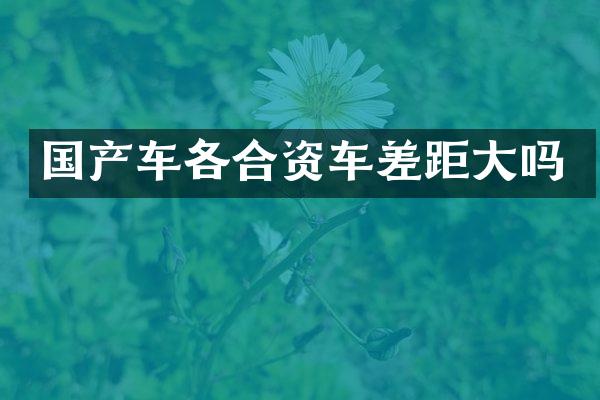 国产车各合资车差距大吗