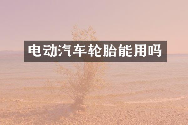 电动汽车轮胎能用吗