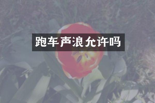 跑车声浪允许吗