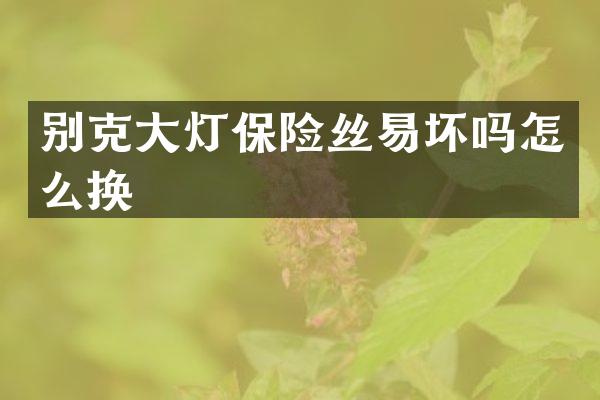 别克大灯保险丝易坏吗怎么换