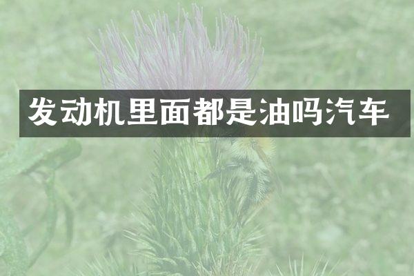 发动机里面都是油吗汽车