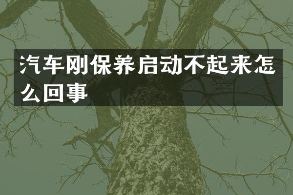 汽车刚保养启动不起来怎么回事