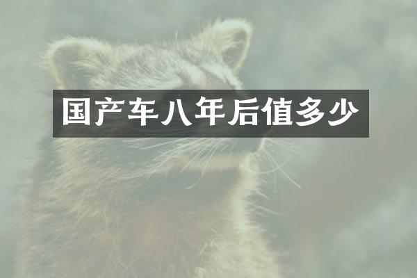 国产车八年后值多少