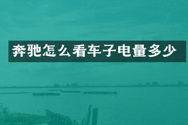 奔驰怎么看车子电量多少