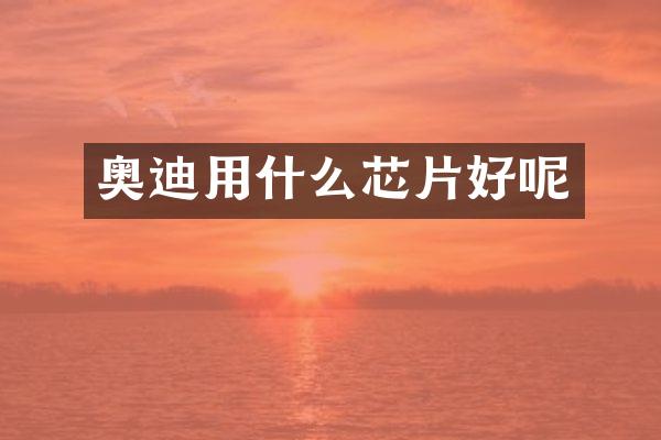 奥迪用什么芯片好呢