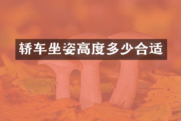 轿车坐姿高度多少合适