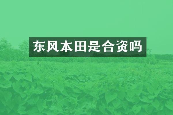 东风本田是合资吗